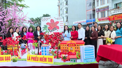 Kim Dong Primary School organized an extracurricular activity titled "March at the Border - The River of Rice Flowers".