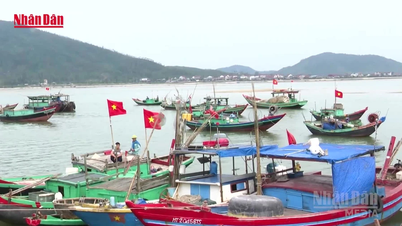 [Video] Staying close to the sea, not forgetting election day