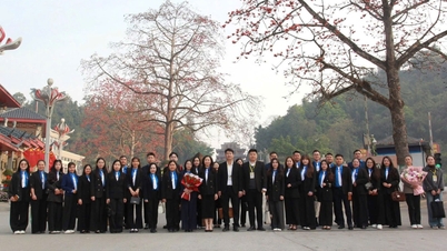 La délégation de l'Union de la jeunesse communiste Ho Chi Minh de la province de Lang Son a participé à l'activité de plantation d'arbres et de reboisement menée conjointement par les jeunes du Vietnam et de la Chine.