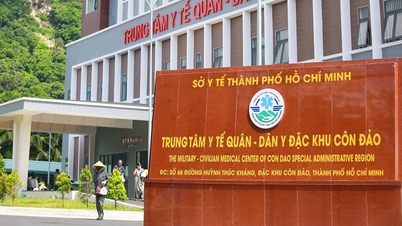 Ho Chi Minh City converts 13 regional medical centers into general hospitals.