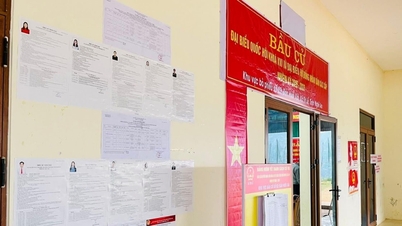 Σήμερα, 13 Μαρτίου, η επαρχία Nghe An διεξάγει πρόωρη ψηφοφορία σε 55 ορεινές και παραμεθόριες περιοχές.