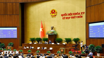 Un doctorat en relations internationales obtenu en Malaisie mettait l'accent sur la position de l'Assemblée nationale vietnamienne.