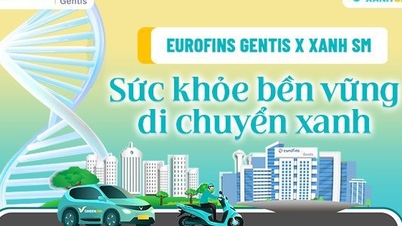 יורופינס ג'נטיס x גרין SM: בריאות בת קיימא - ניידות ירוקה