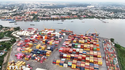 Middle East tensions: How do Vietnamese businesses manage risks in import and export?