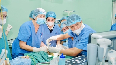 Nghe An obstetrikk- og barnesykehus samarbeider med internasjonale eksperter for å behandle muskelspastisitet hos barn med cerebral parese.