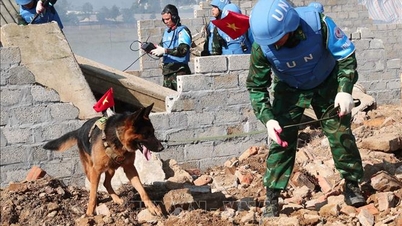 Afirmar la posición y las capacidades de Vietnam en las operaciones de mantenimiento de la paz de las Naciones Unidas.