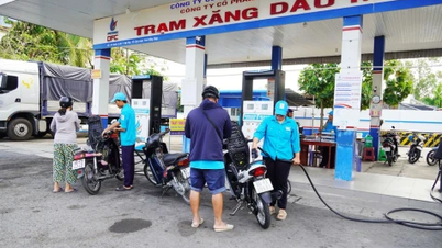 Dong Thap: Proaktive Umsetzung verschiedener Lösungen zur Sicherstellung der Benzin- und Dieselversorgung.
