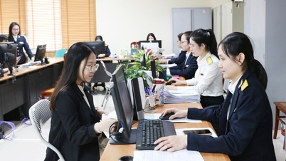 Bac Ninh صوبائی ٹیکس ڈیپارٹمنٹ الیکٹرانک طریقے سے ٹیکس وصول کرنے اور انتظامی طریقہ کار پر کارروائی کرنے کی کوششیں تیز کر رہا ہے۔