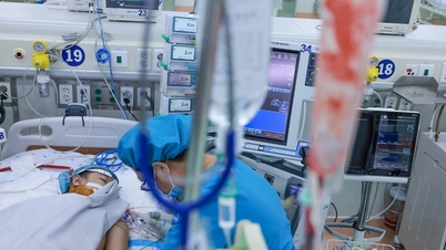 Warning about the risk of dengue fever complications when hospitalization is delayed.
