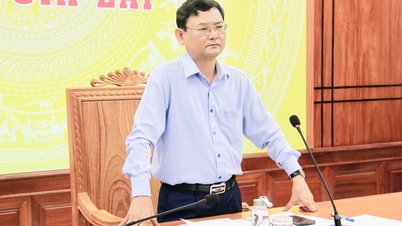 Inspection des progrès réalisés en matière d'indemnisation et de déblaiement des terrains pour le projet d'autoroute Quy Nhon – Pleiku.