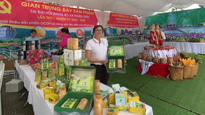ស្ត្រីនៅសើនឡា គឺជាកម្លាំងស្នូលដែលជំរុញយុទ្ធនាការគ្រួសារ "៥ ទេ ៣ អនាម័យ" ឲ្យឈានដល់កម្រិតកាន់តែស៊ីជម្រៅ និងប្រកបដោយចីរភាព។