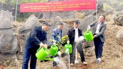 Dong Van kommune lanserer treplantingskampanje for å feire valget.
