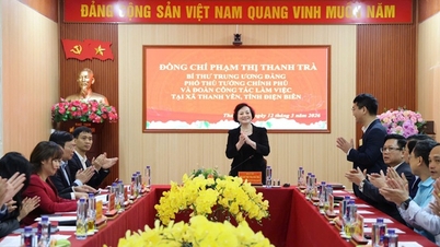 Vice premiärminister Pham Thi Thanh Tra: Det är inte nödvändigt för varje kommun att inrätta ytterligare specialiserade avdelningar.