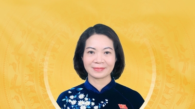 Ninh Binh eyaleti 16. Ulusal Meclis adayı Mai Thi Phuong Hoa'nın kısa özgeçmişi ve eylem planı