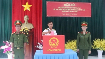 Ca Mau៖ ការបោះឆ្នោតមុនកាលកំណត់នៅលើកោះ Hon Khoai និង Hon Chuoi។