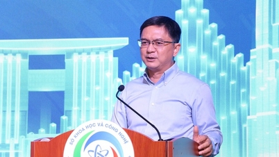 Com apenas 5% dos resultados de pesquisa sendo comercializados, a cidade de Ho Chi Minh está testando um novo mecanismo.