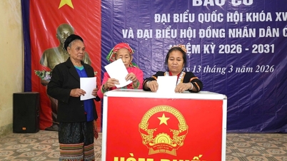55 pusat pengundian di wilayah Nghe An telah mengadakan pengundian awal.