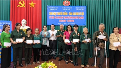 General Nguyen Thi Dinh: Ett lysande exempel på stål och brons.