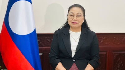 De Laotiaanse ambassadeur: De verkiezingen voor de 16e Nationale Vergadering geven Vietnam een ​​nieuwe impuls om de politieke stabiliteit te behouden en een positieve bijdrage te leveren aan de regio en de wereld.