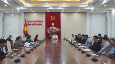 ផ្តោតលើការបញ្ចប់សេចក្តីព្រាងផែនការសម្រាប់អនុវត្តកម្មវិធីគោលដៅជាតិសម្រាប់រយៈពេល ២០២៦-២០៣០។
