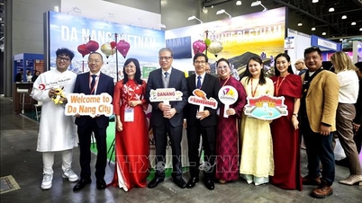 Da Nang festigt seine Position als zentraler Knotenpunkt für Badeorte.