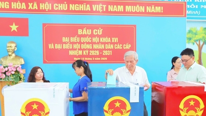 Ciudad Ho Chi Minh: Ensayo del proceso electoral en el distrito de Dong Hung Thuan.