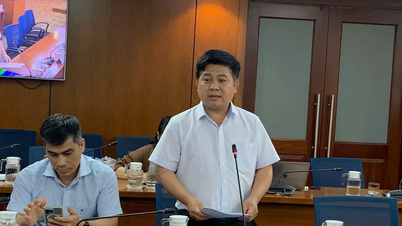 Ho Chi Minh City Department of Education provides answers regarding enrollment at the beginning of the school year.