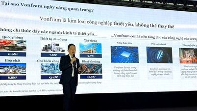 ทังสเตนเวียดนามและโอกาสในการมีส่วนร่วมในห่วงโซ่อุปทานวัสดุสำหรับยุคปัญญาประดิษฐ์