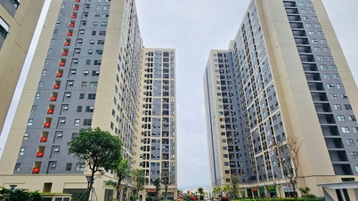 Het Departement van Bouwzaken van Da Nang lanceert een sectie met richtlijnen voor het huren en kopen van sociale huurwoningen.