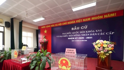 Hanoi: Stärker den digitala transformationen i valarbetet.