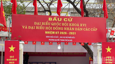 Senior party members place their full trust ahead of election day.