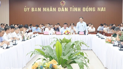 Η Dong Nai είναι αποφασισμένη να μην αφήσει τα δημόσια επενδυτικά κεφάλαια να μείνουν αδρανή για έργα.