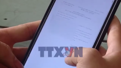 Młodzi wyborcy w Da Nang wykorzystują technologię cyfrową w wyborach.