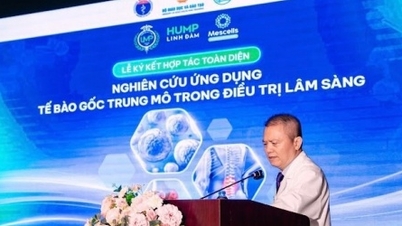 Hợp tác đưa công nghệ tế bào gốc Nhật Bản vào điều trị tại Việt Nam