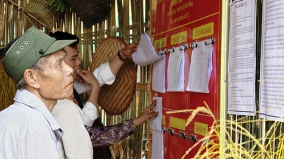 'National Festival' at Ong Binh peak: Trekking through the forest, carrying the elderly to the polling station.