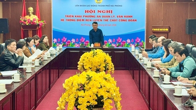 Effectively manage and operate 100 trade union physical training centers in Hai Phong.