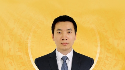 Biografi singkat dan rencana aksi calon anggota Majelis Nasional ke-16 Provinsi Cao Bang, Ta Le Thanh.