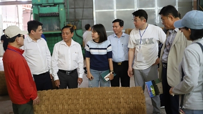 Đoàn công tác TP Daejeon (Hàn Quốc) tham quan doanh nghiệp và tìm hiểu về khu công nghiệp Phú Thuận