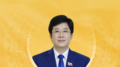 Breve biografía y plan de acción del candidato a la 16ª Asamblea Nacional de la provincia de Lao Cai, Nguyen Thanh Trung.