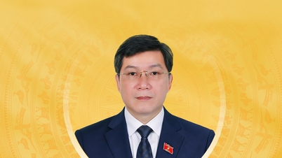 Biografi ringkas dan pelan tindakan calon untuk Dewan Undangan Negeri ke-16 wilayah Gia Lai, Le Hoang Anh