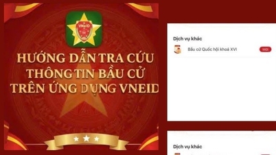 Recherchez des candidats à l'Assemblée nationale et aux conseils populaires à tous les niveaux sur l'application VneID.