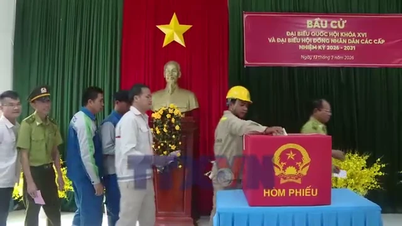 Ca Mau: Hon Khoai جزیرے کے جھرمٹ پر ابتدائی ووٹنگ کا پرجوش ماحول۔
