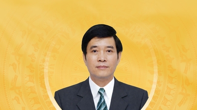Tay Ninh صوبے کی 16 ویں قومی اسمبلی کے امیدوار ہوانگ کوانگ ہام کی مختصر سوانح حیات اور ایکشن پلان