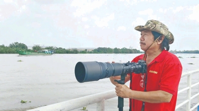 Nguyen Phan Dau - a seeker of beauty