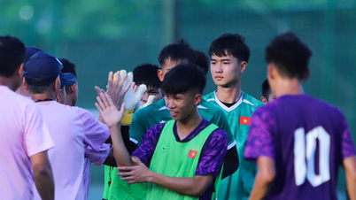 Biri Hırvatistan'dan, diğeri Japonya'dan olmak üzere iki Vietnamlı-Çek oyuncu, Vietnam U19 takımına çağrıldı.