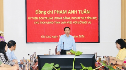 El presidente del Comité Popular Provincial, Pham Anh Tuan, declaró: Estamos haciendo los mejores preparativos para garantizar que las elecciones se desarrollen de forma segura y exitosa.