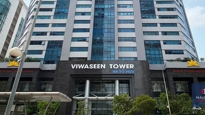 מניות VIWASEEN הגיעו לגבול הסופי ברציפות מאז מינויו של היו"ר החדש.