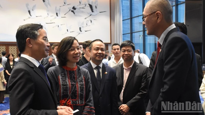 Da Nang creates favorable conditions to attract Japanese businesses.