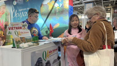 The strong appeal of Vietnam as a destination in the eyes of French tourists.