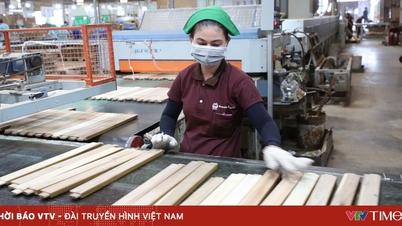 Хошимін: 22% експортно-переробних підприємств коригують виробництво, щоб зменшити вплив витрат на паливо.